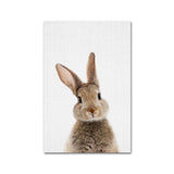 Giraffe Bunny Elephant Canvas