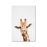 Giraffe Bunny Elephant Canvas
