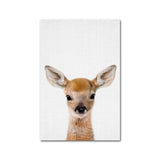 Giraffe Bunny Elephant Canvas