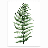 Tropical Plant Scandinavian