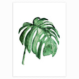 Tropical Plant Scandinavian