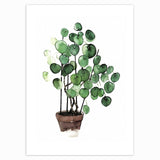 Tropical Plant Scandinavian