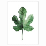 Tropical Plant Scandinavian