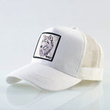 Baseball Caps Men Snapback