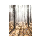 Nature Scenery