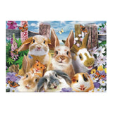 5D Landscape & Animal Picture