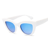 Cat Eye  Sunglasses