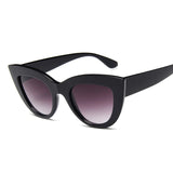 Cat Eye  Sunglasses