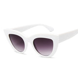 Cat Eye  Sunglasses