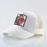 Baseball Caps Men Snapback