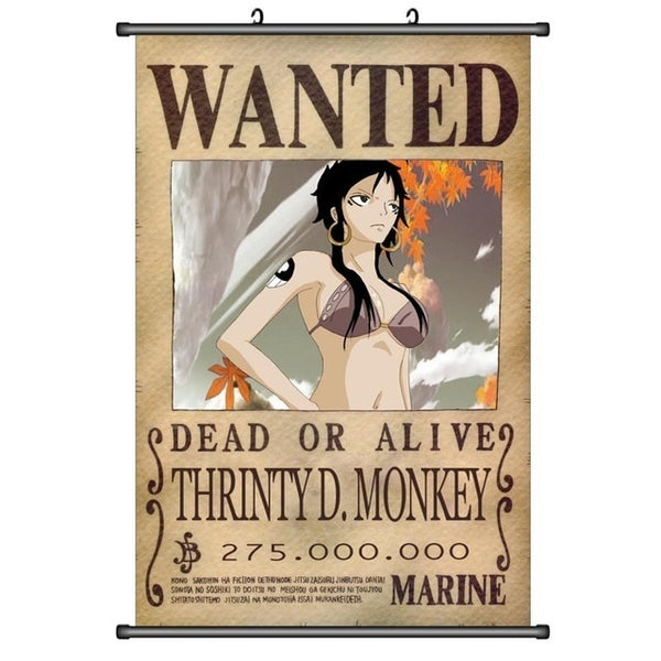 One Piece Luffy Anime