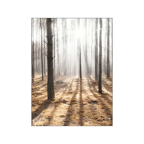 Nature Scenery