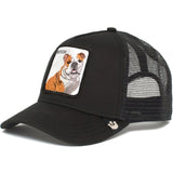 Panther Mesh Cap